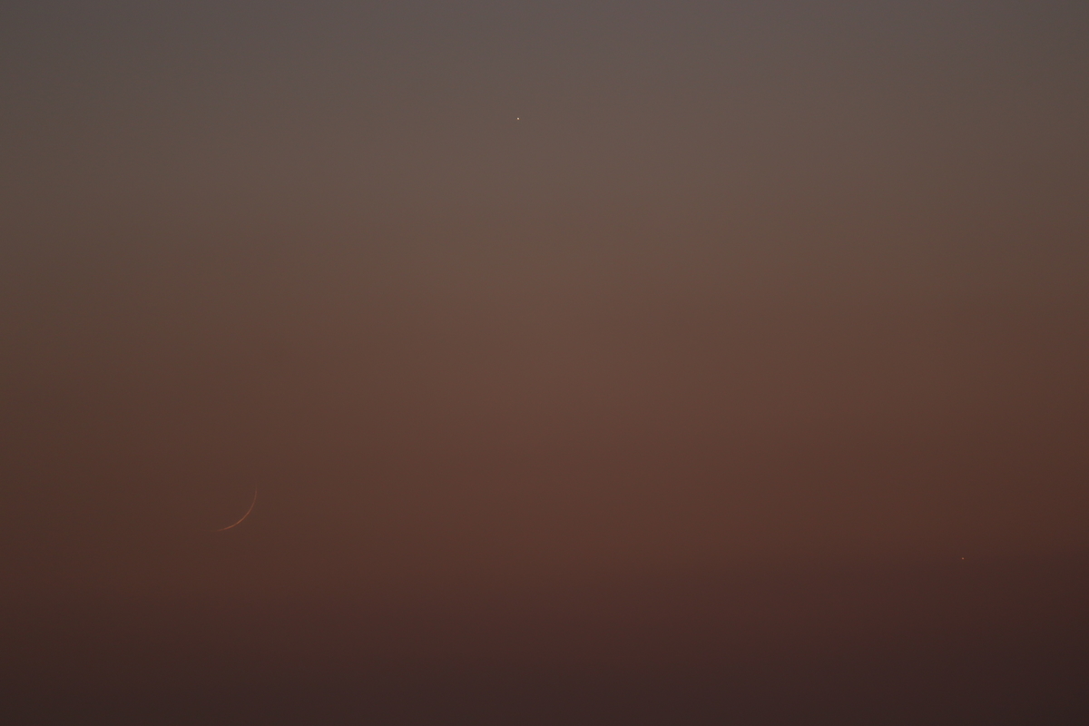 f:id:tomato_1:20210115035003j:plain