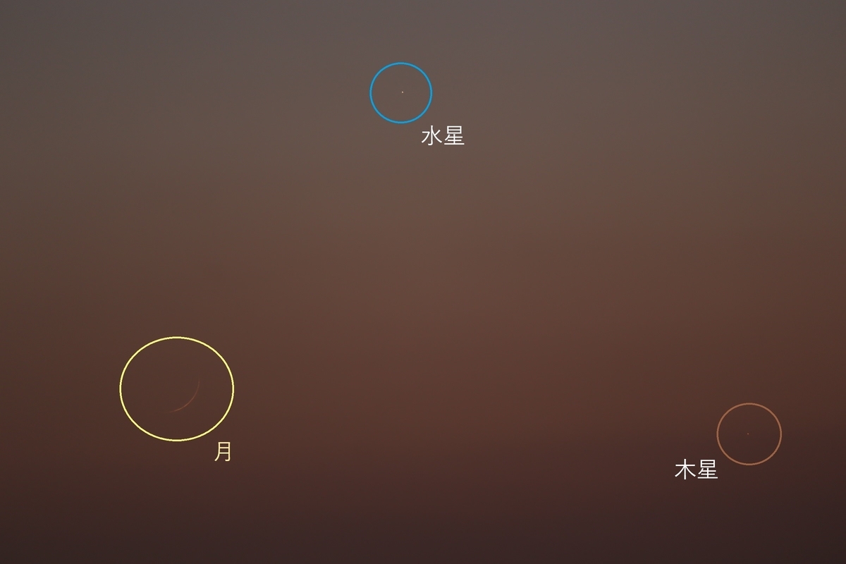 f:id:tomato_1:20210115035157j:plain