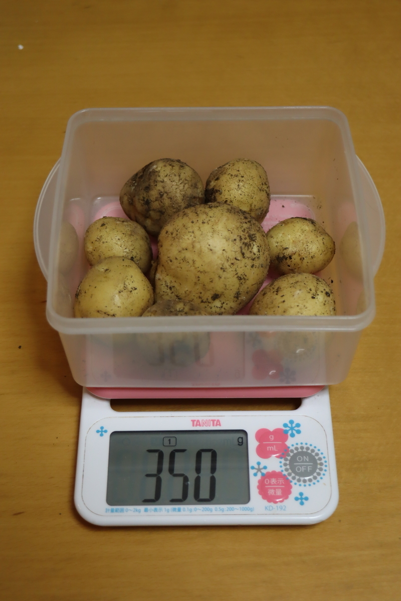 f:id:tomato_1:20210120030732j:plain