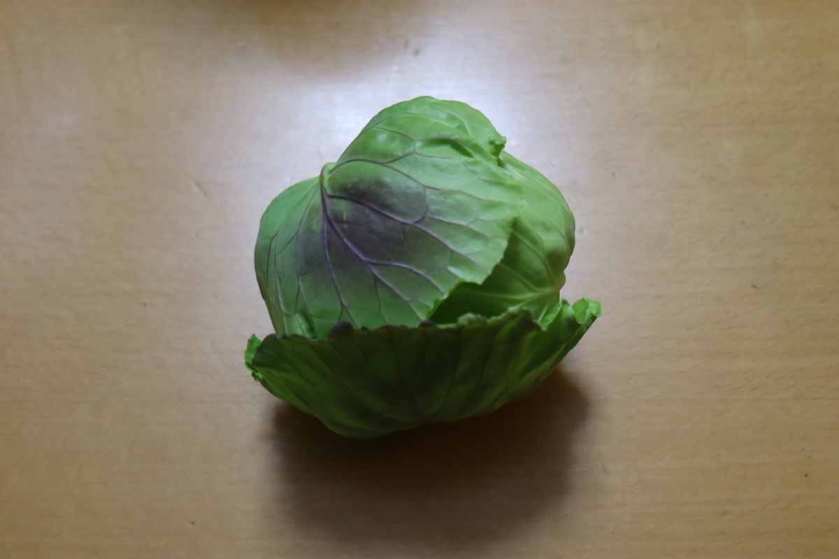 f:id:tomato_1:20210122035350j:plain