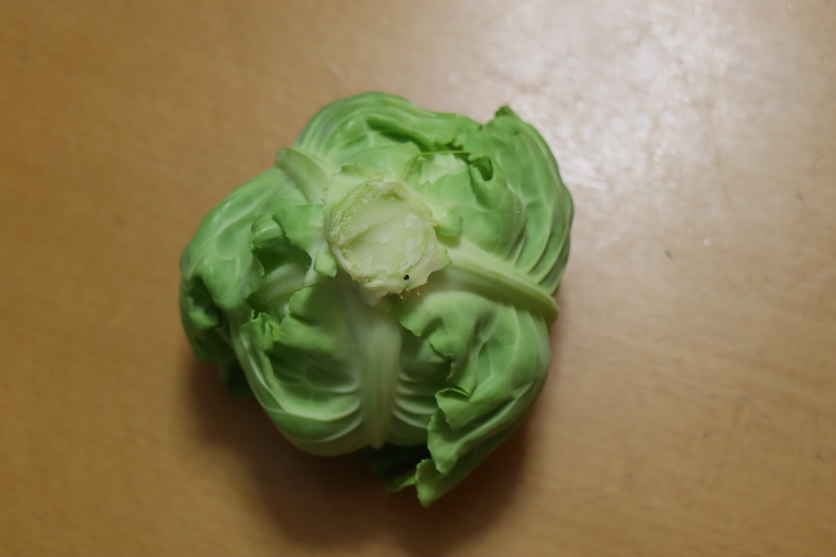 f:id:tomato_1:20210122035407j:plain
