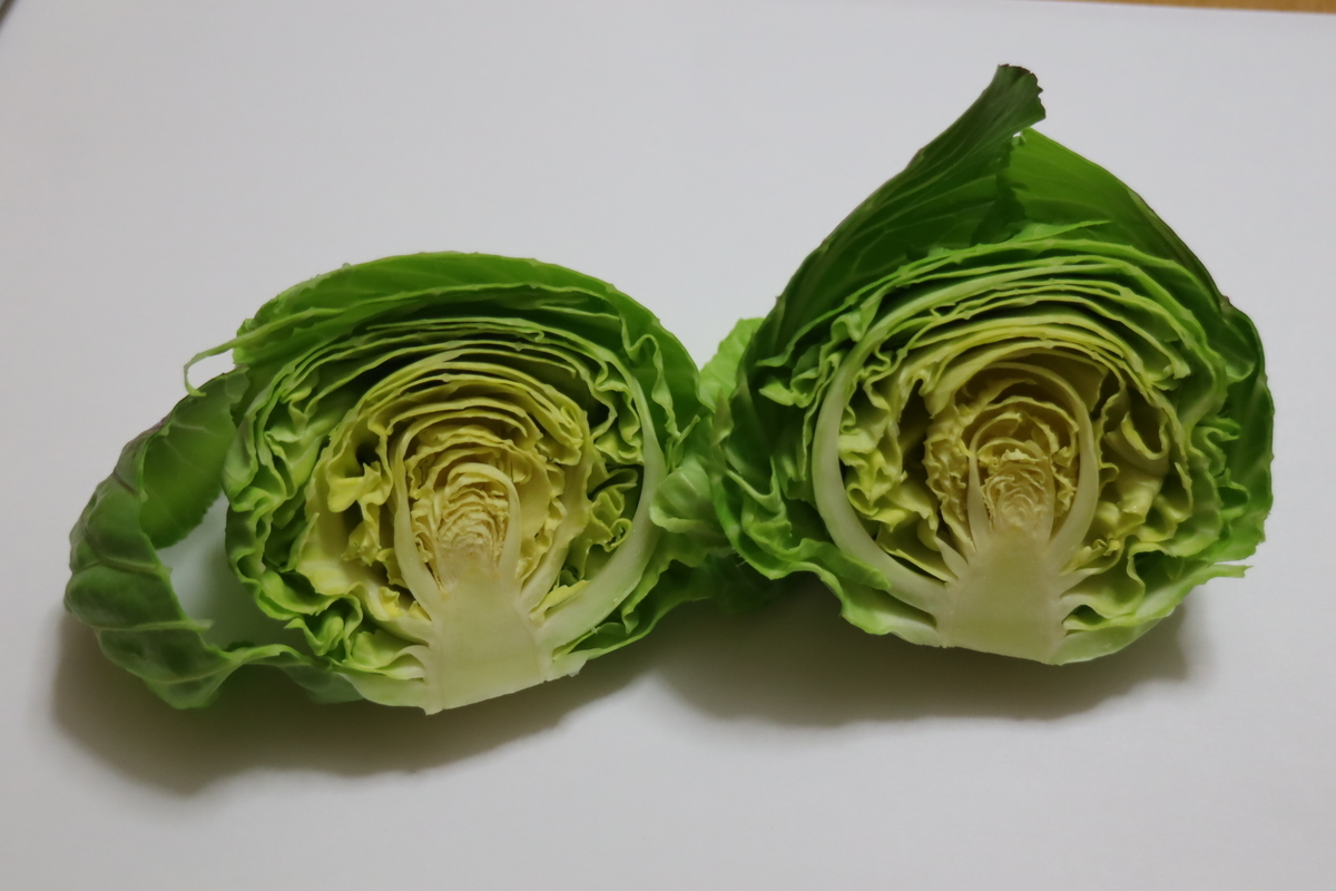 f:id:tomato_1:20210122035432j:plain