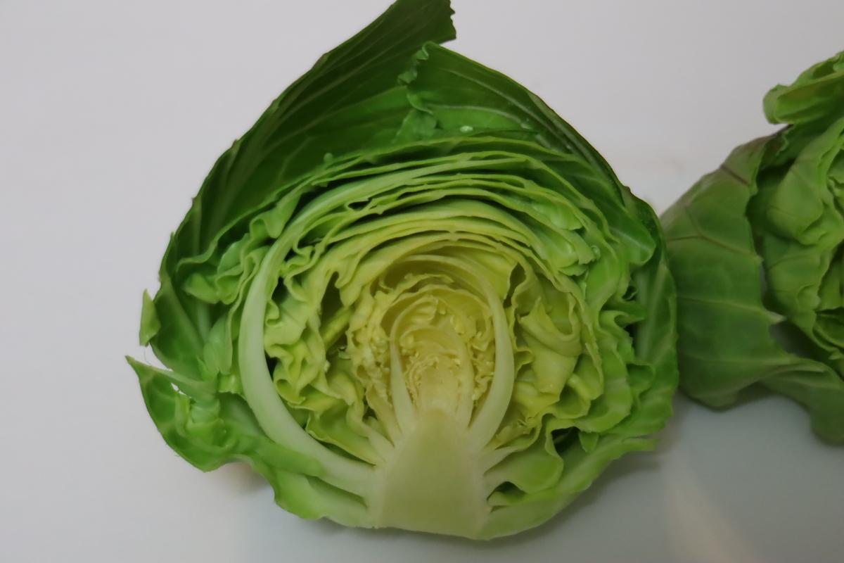 f:id:tomato_1:20210122035441j:plain