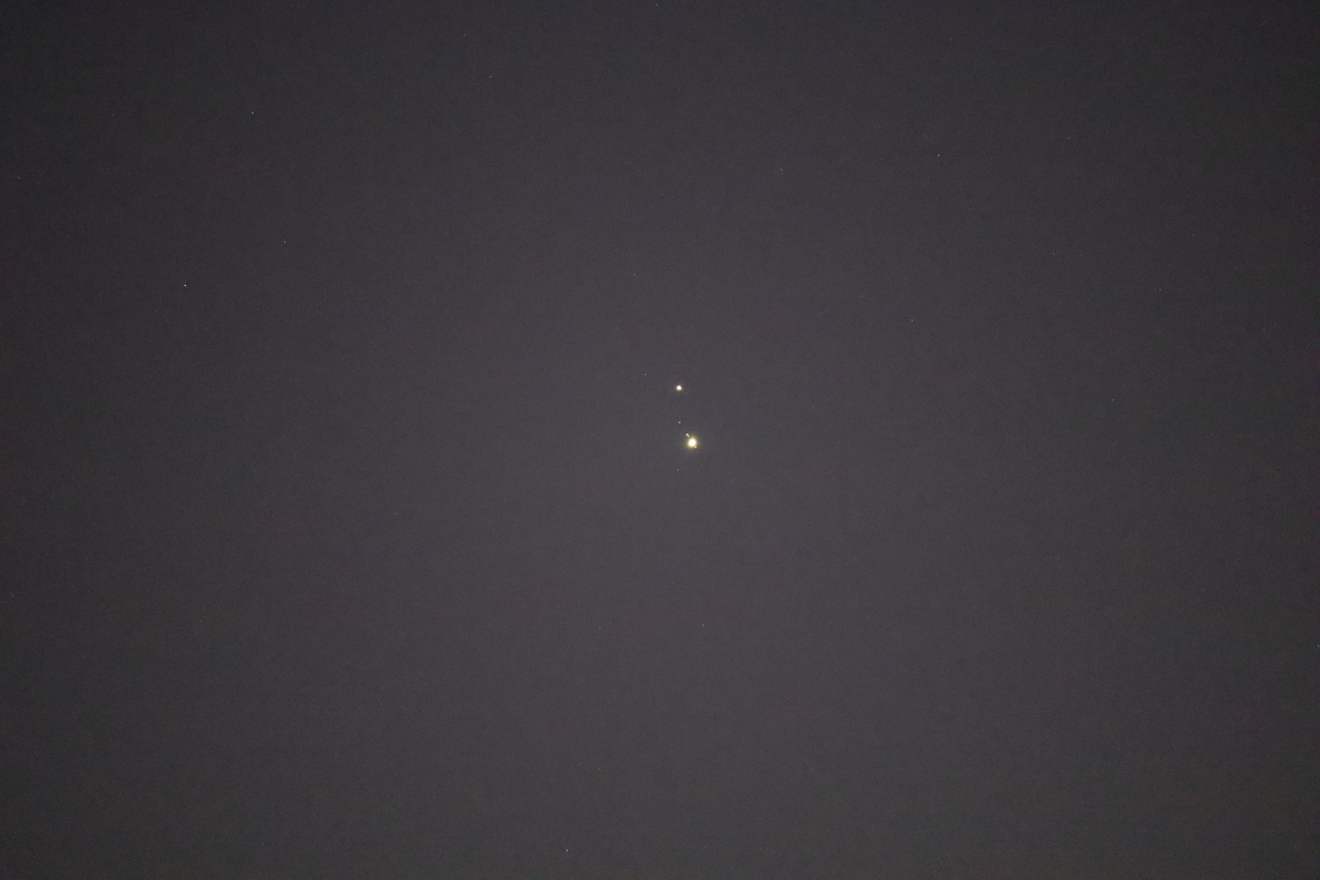 f:id:tomato_1:20210124012523j:plain