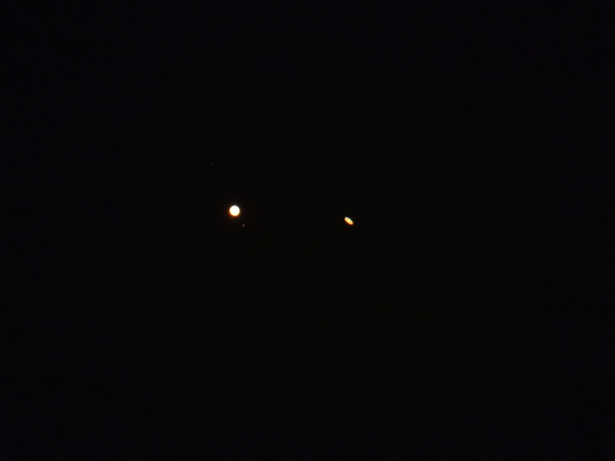 f:id:tomato_1:20210124030011j:plain