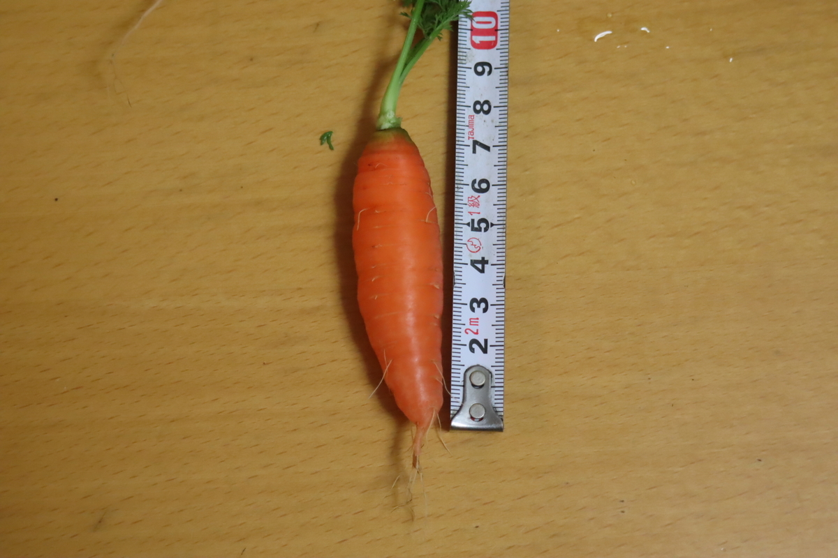 f:id:tomato_1:20210126041453j:plain