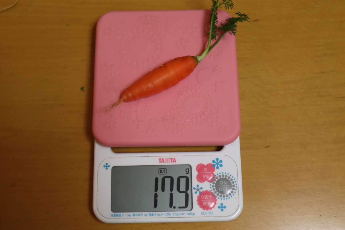 f:id:tomato_1:20210126041506j:plain