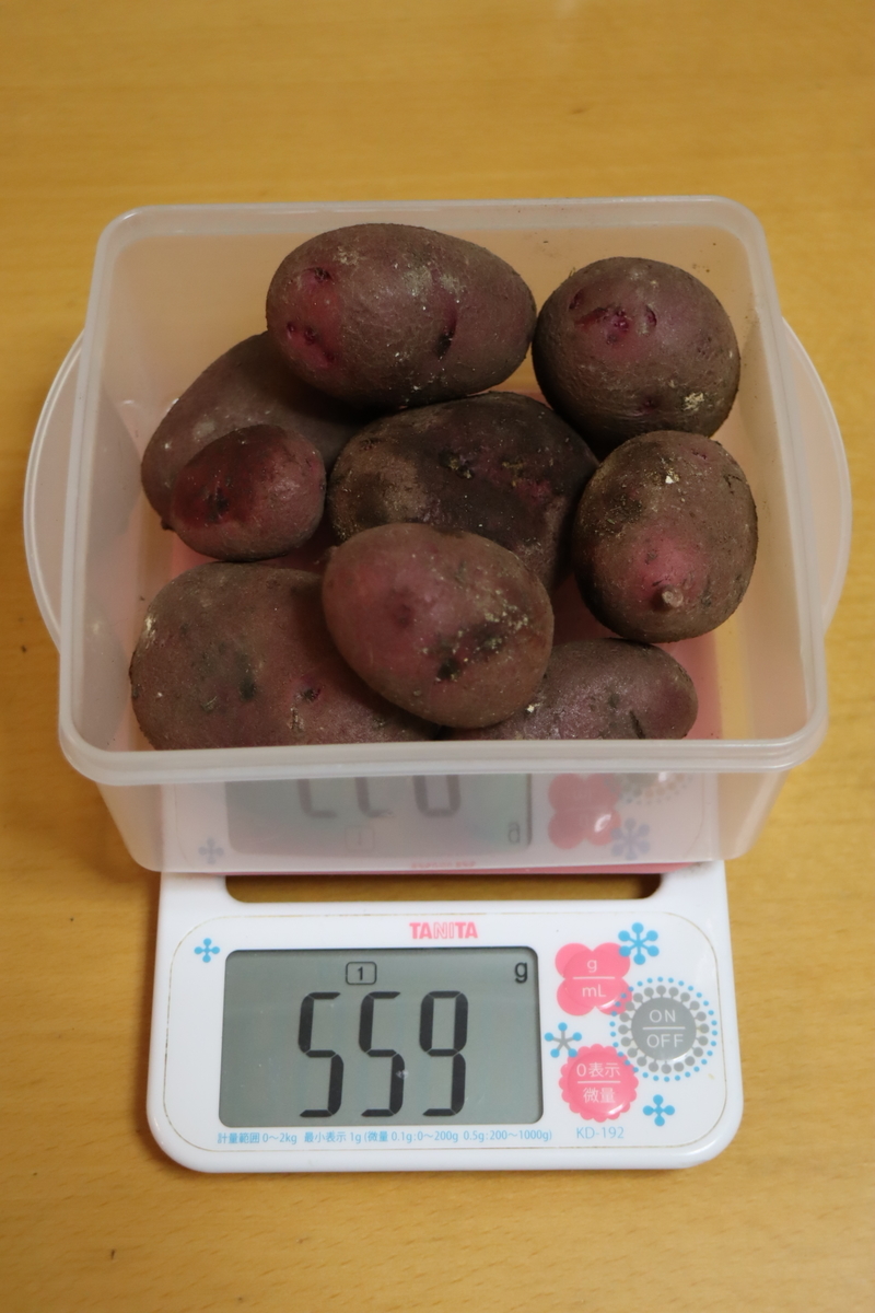 f:id:tomato_1:20210128034359j:plain