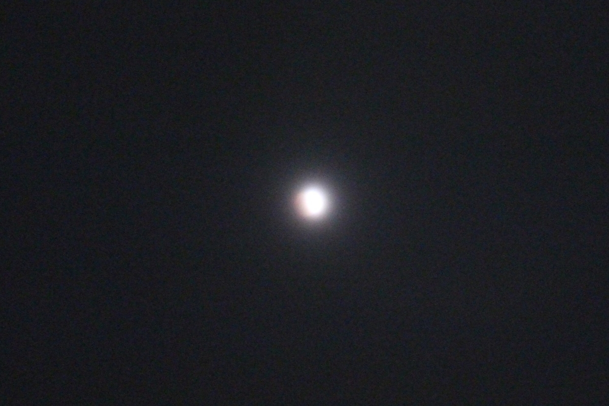f:id:tomato_1:20210131045943j:plain