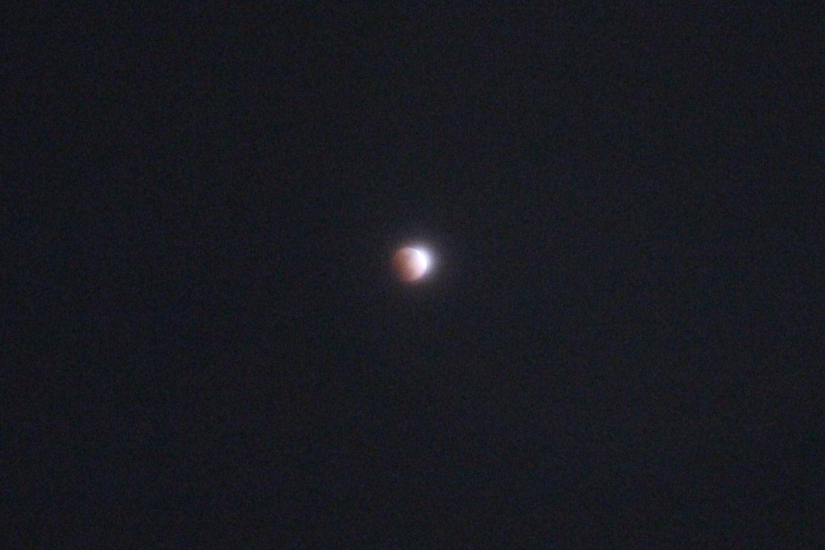 f:id:tomato_1:20210131050019j:plain