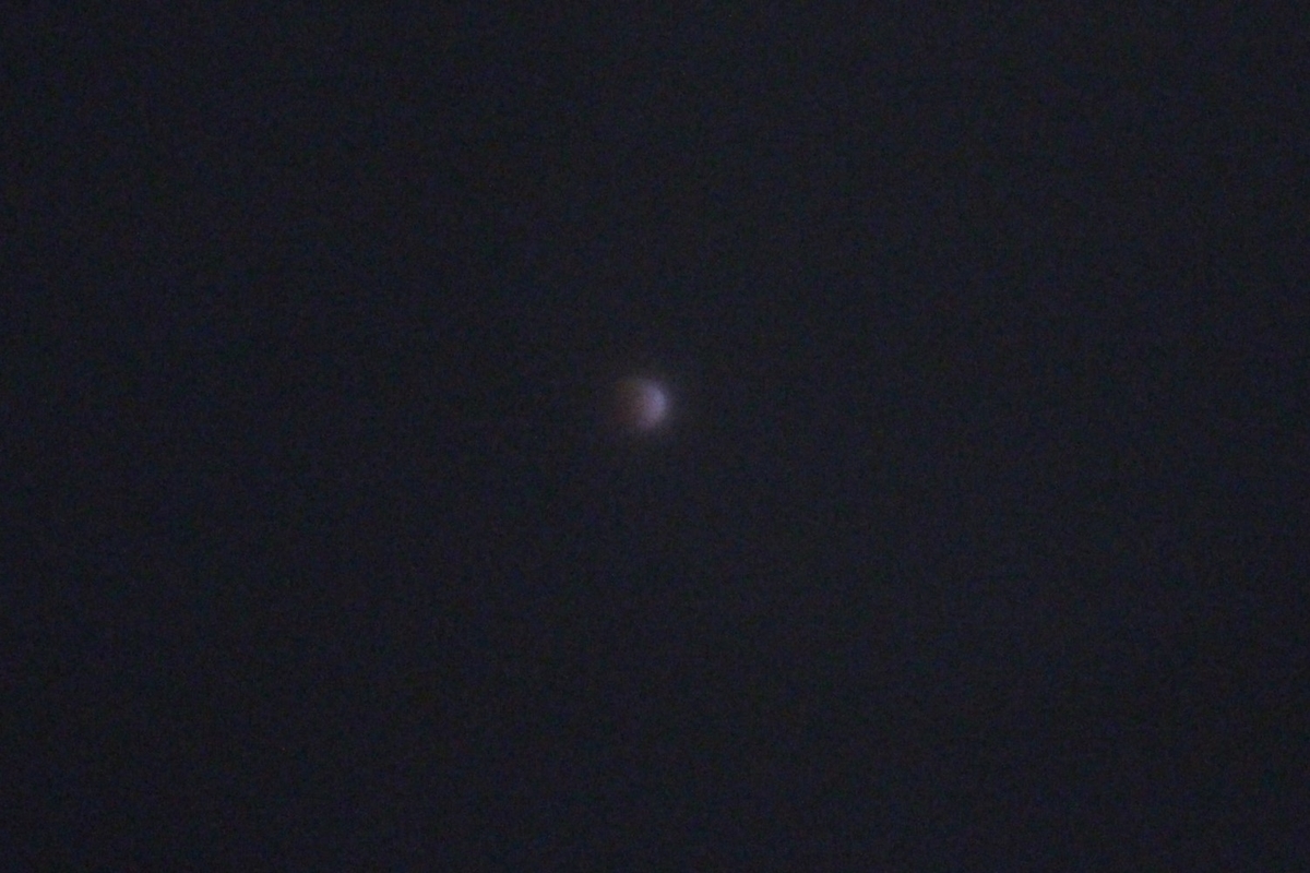 f:id:tomato_1:20210131050035j:plain