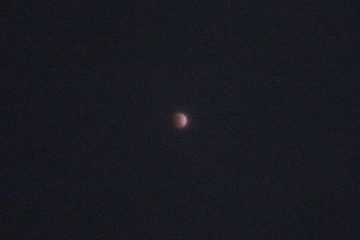 f:id:tomato_1:20210131050043j:plain