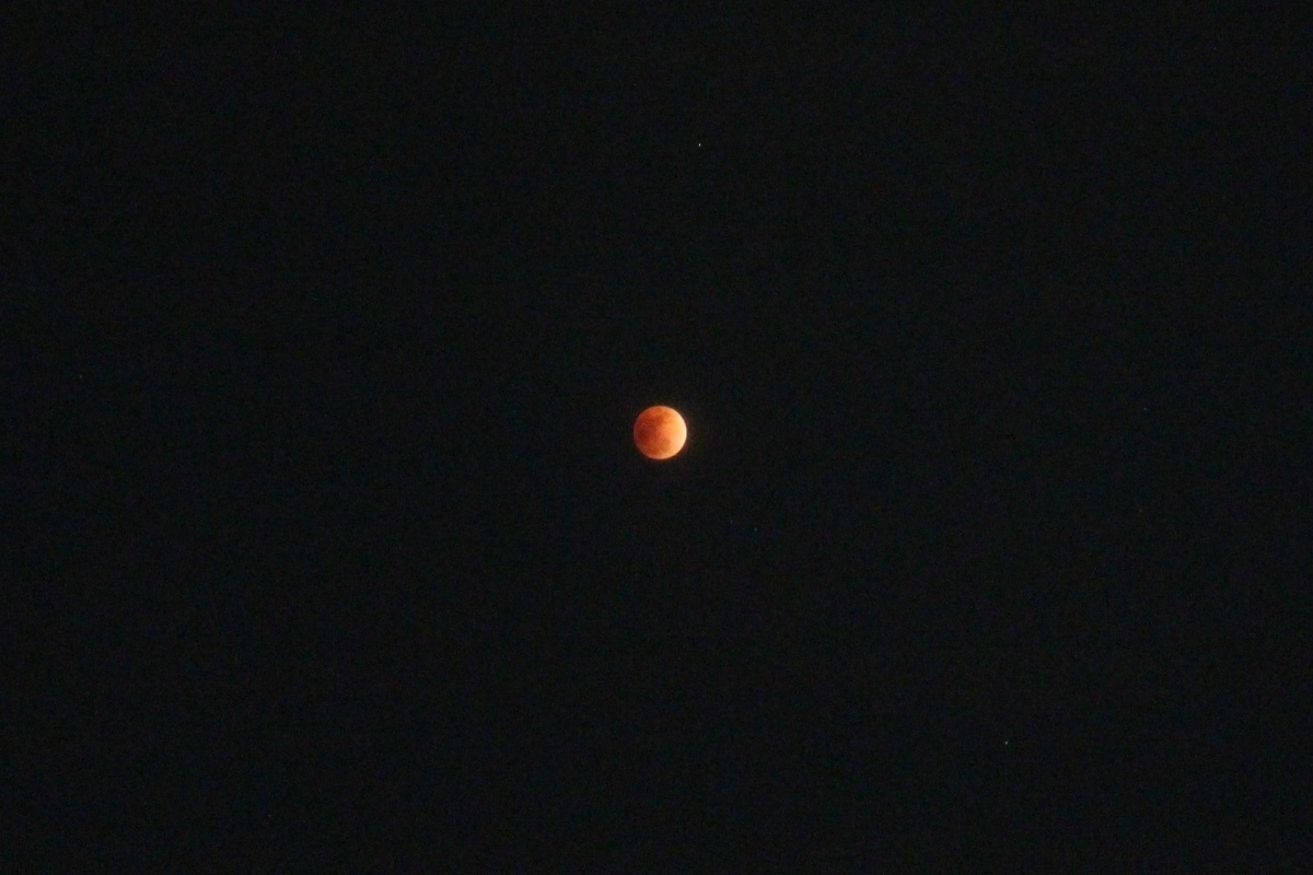 f:id:tomato_1:20210131050054j:plain