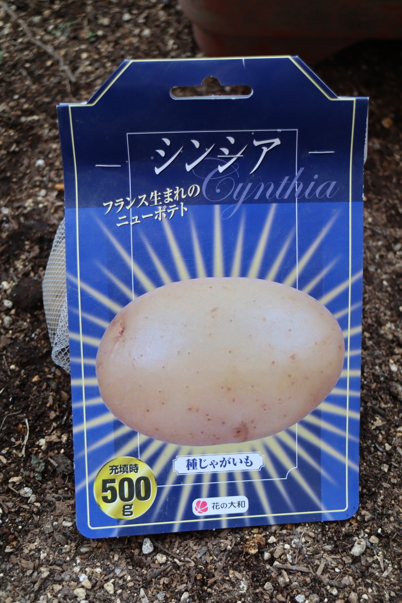 f:id:tomato_1:20210221035546j:plain