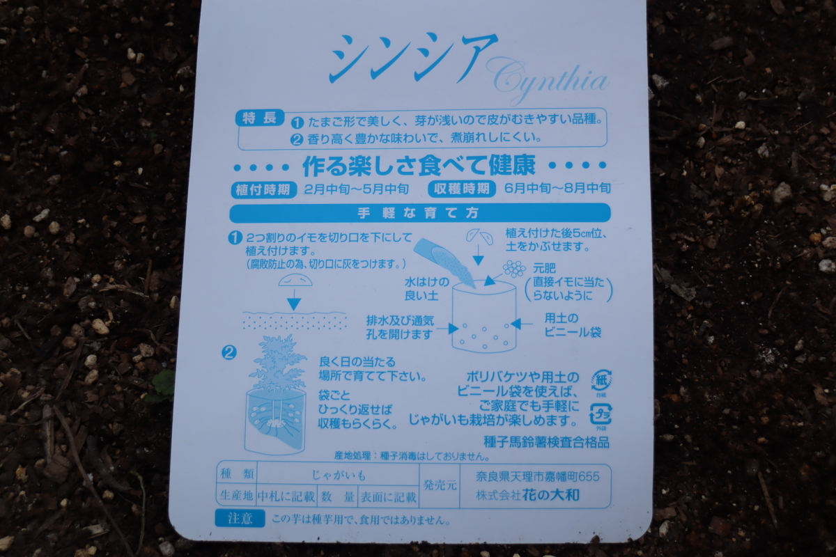 f:id:tomato_1:20210221035632j:plain