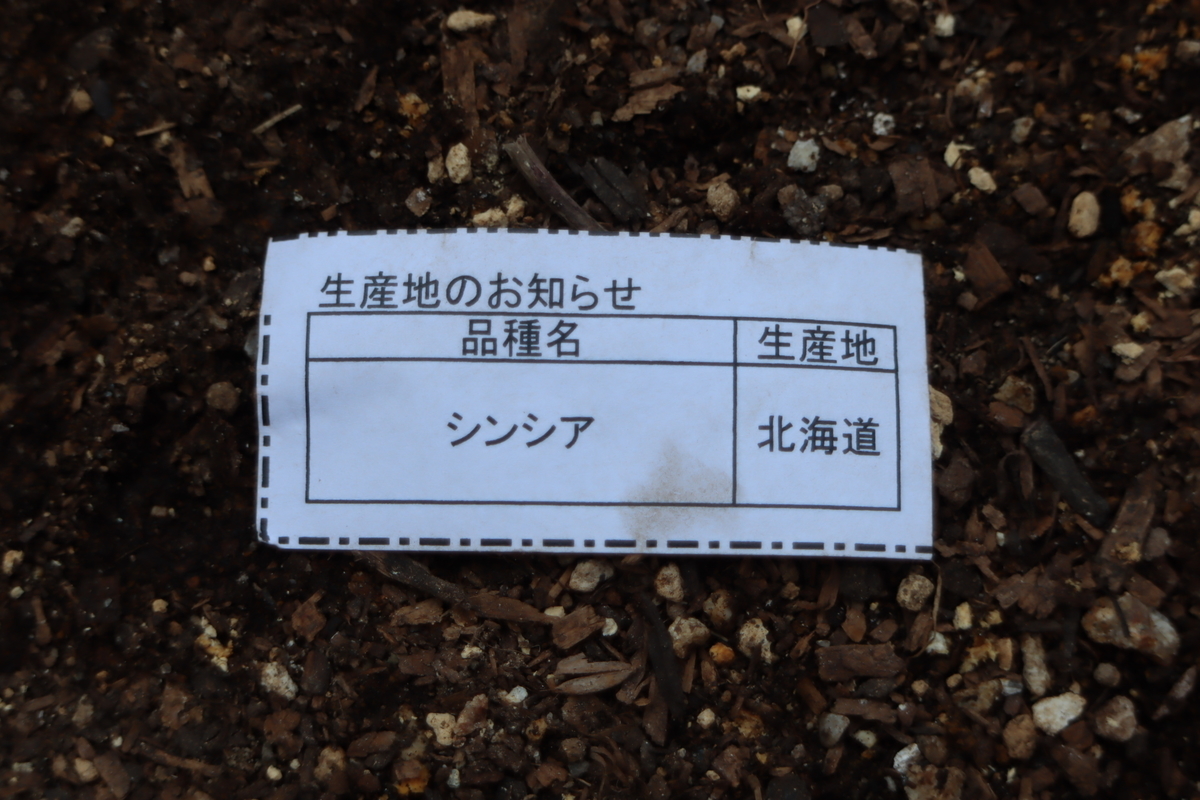 f:id:tomato_1:20210221035645j:plain