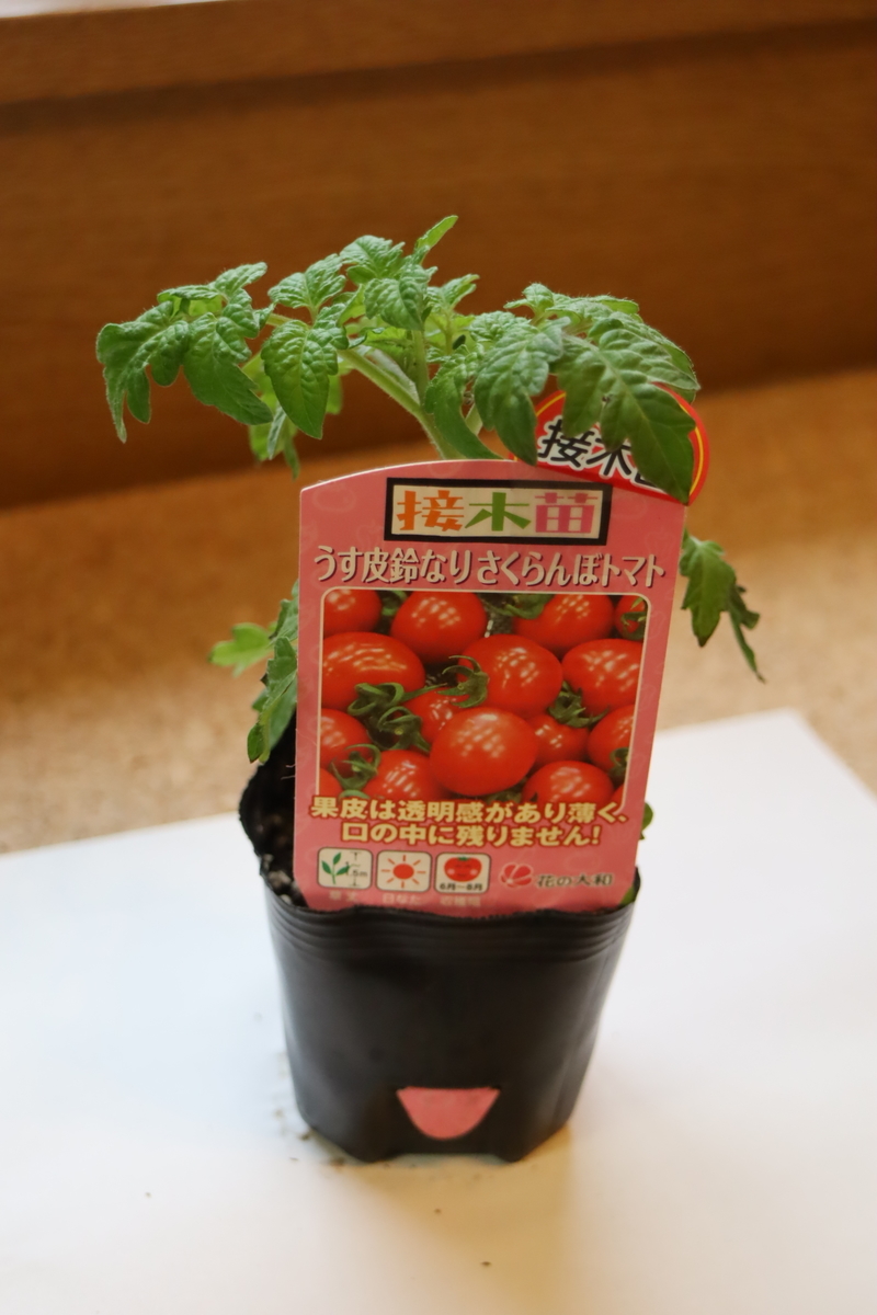 f:id:tomato_1:20210418004121j:plain