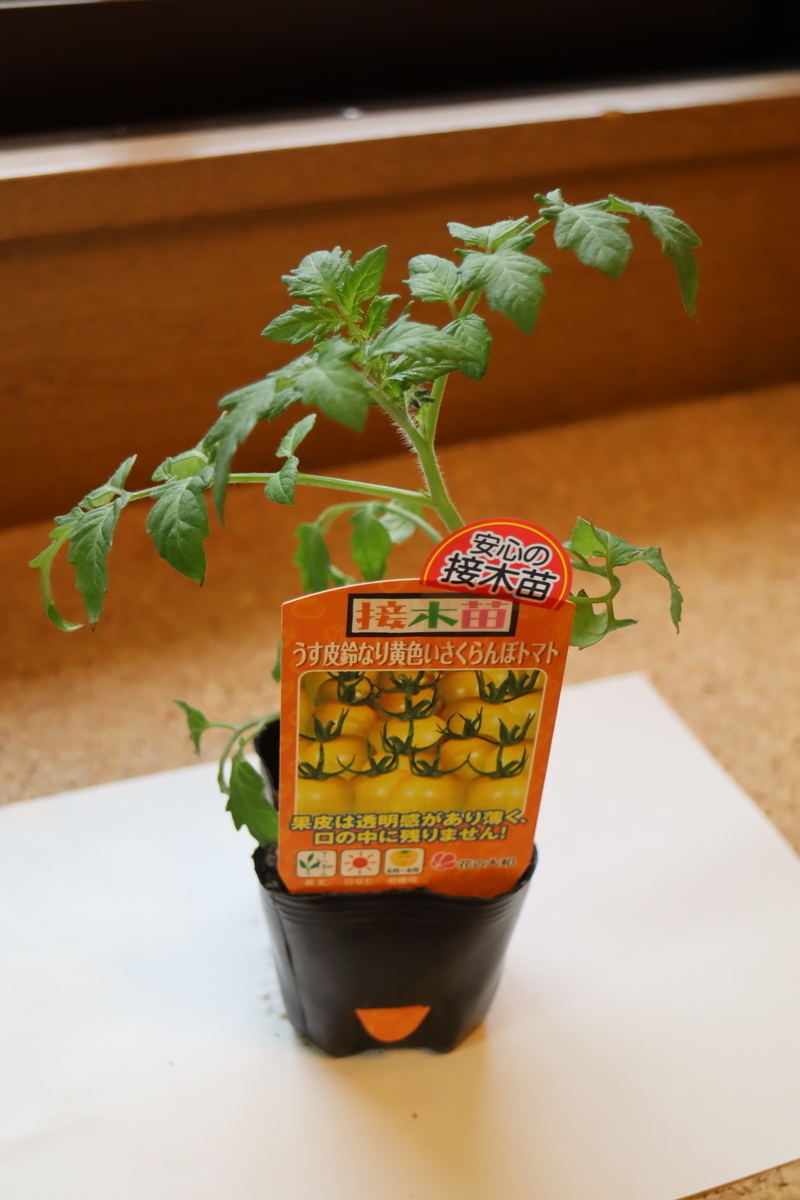 f:id:tomato_1:20210418004150j:plain