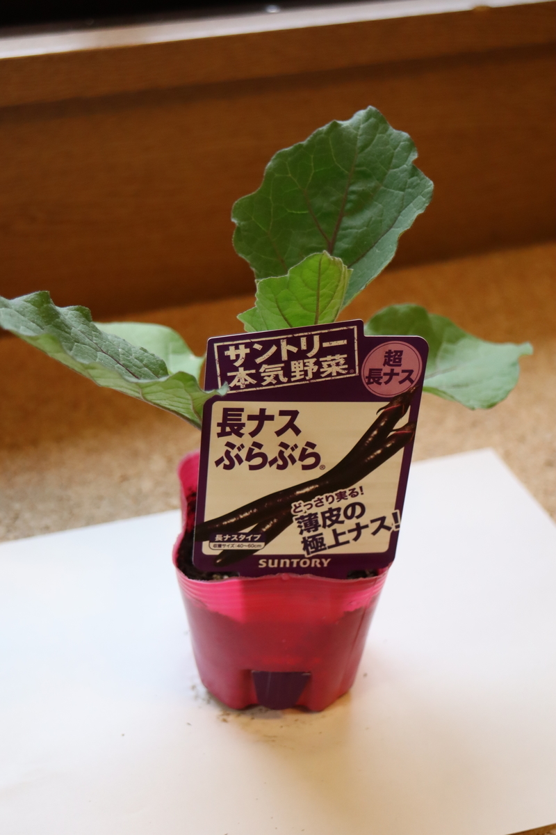 f:id:tomato_1:20210418004243j:plain