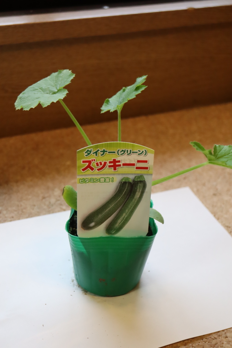 f:id:tomato_1:20210418004320j:plain