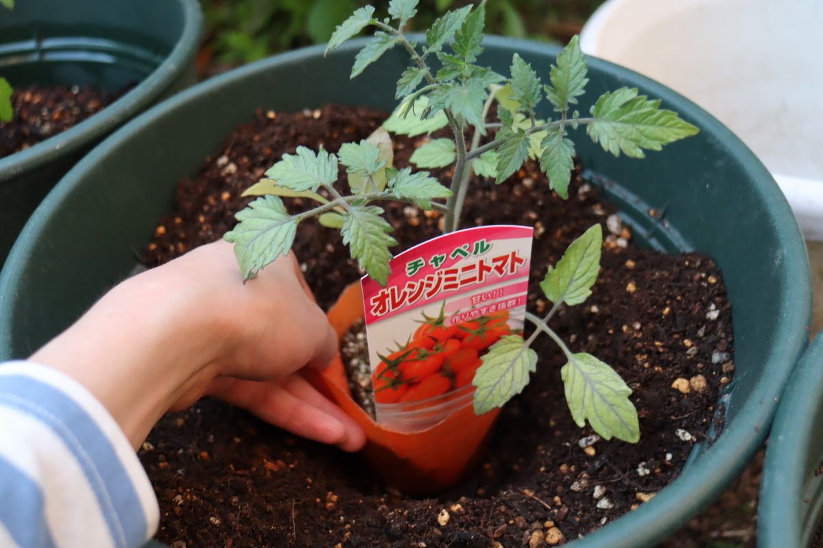 f:id:tomato_1:20210422010729j:plain