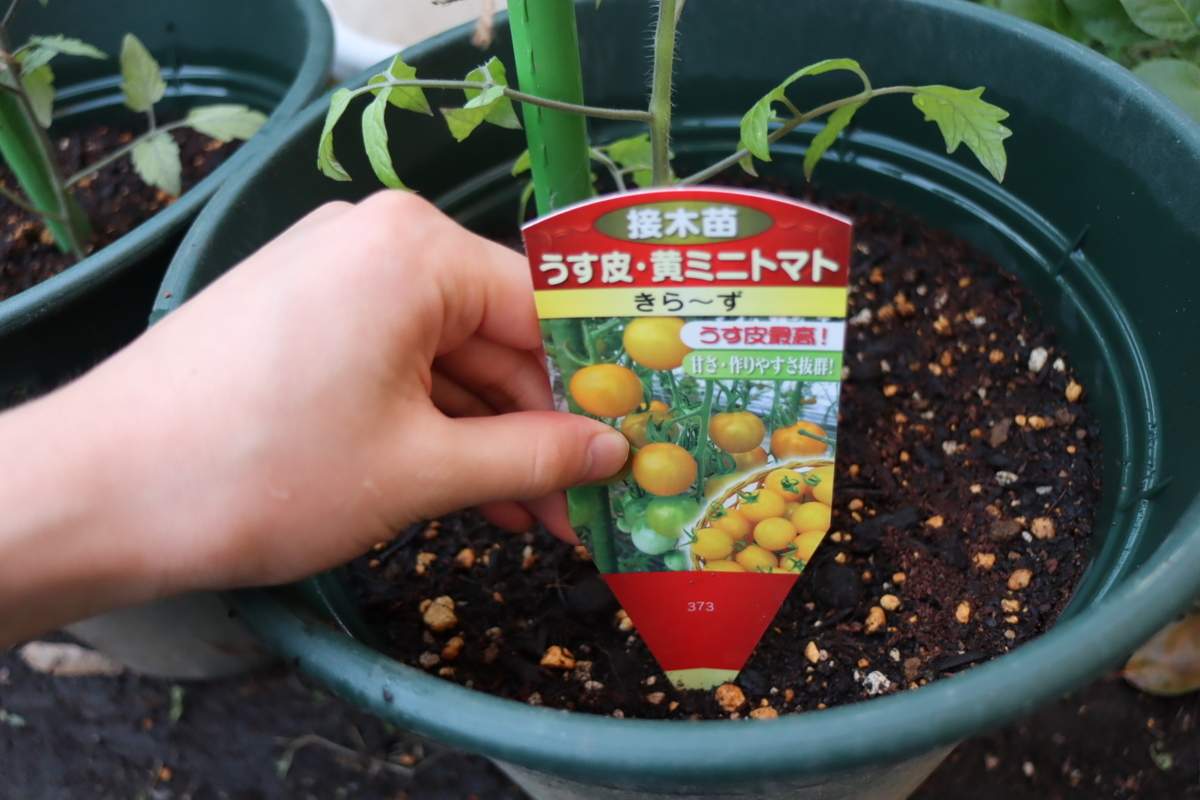 f:id:tomato_1:20210422010936j:plain