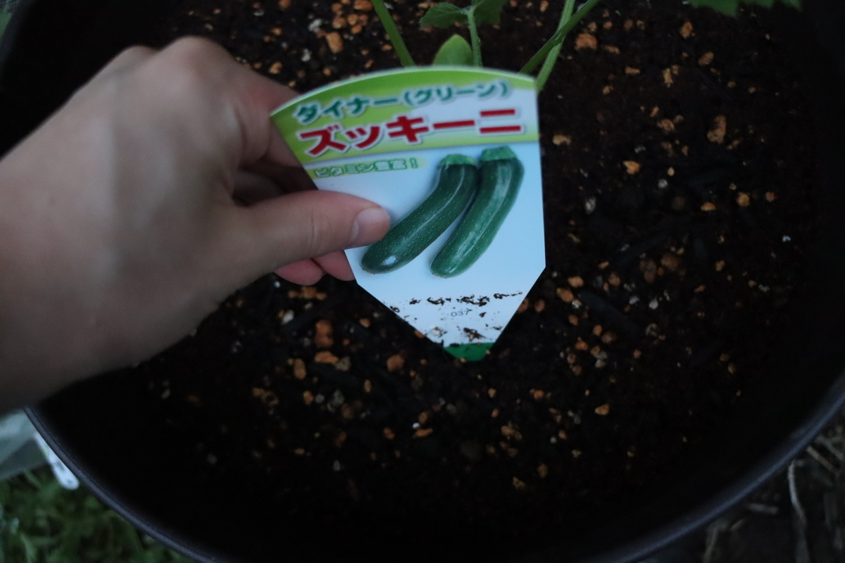 f:id:tomato_1:20210424034443j:plain