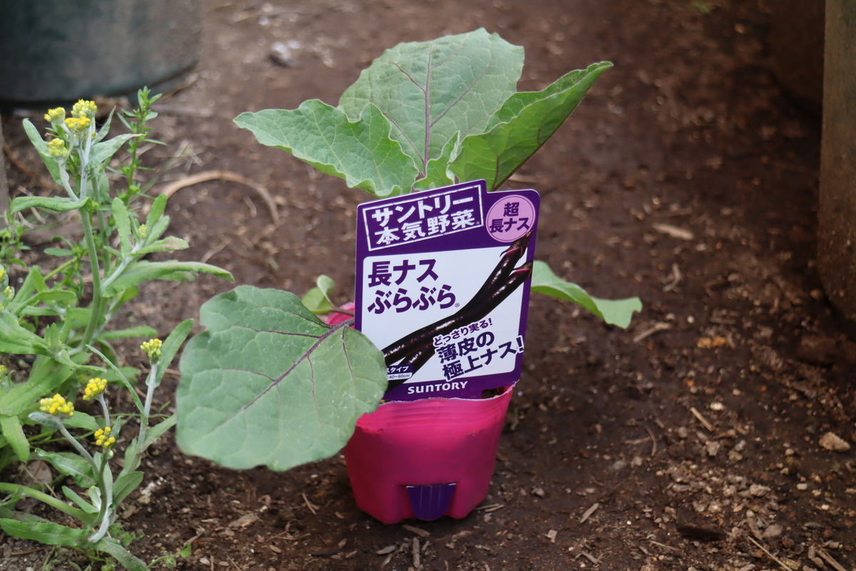 f:id:tomato_1:20210426033531j:plain