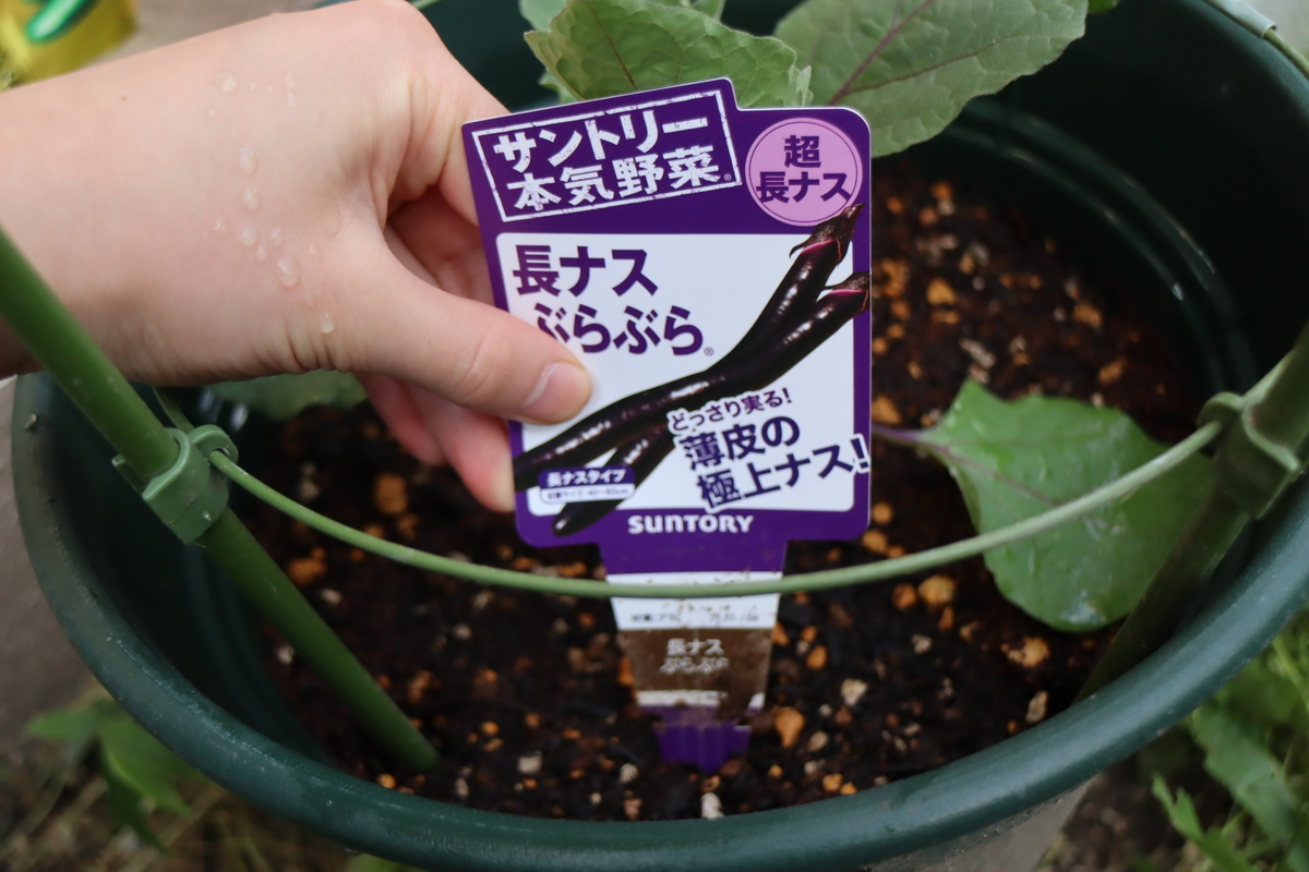 f:id:tomato_1:20210426033712j:plain