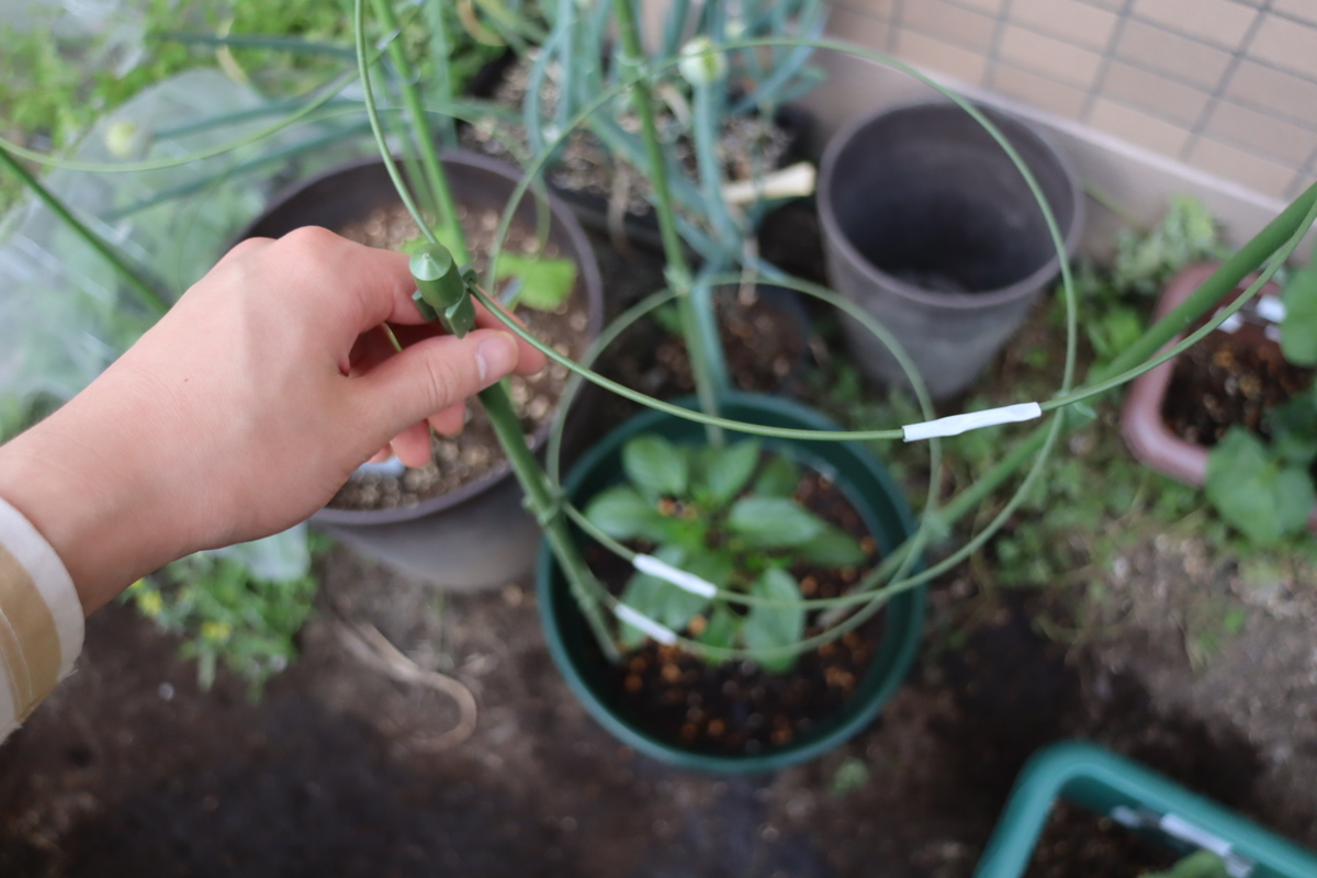 f:id:tomato_1:20210428033827j:plain