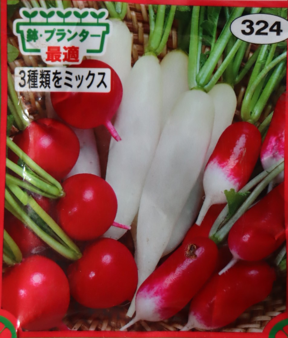 f:id:tomato_1:20210501040647j:plain