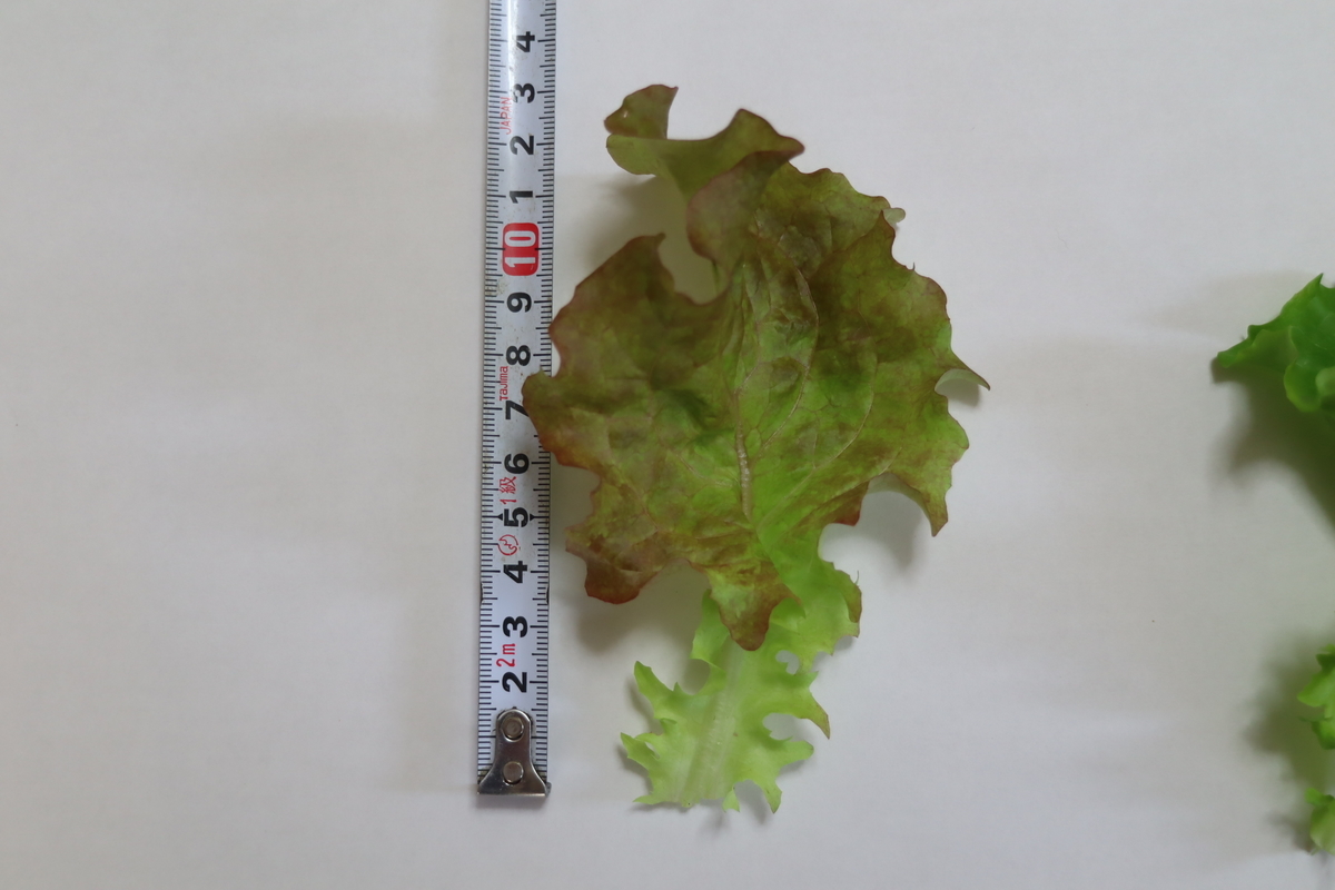 f:id:tomato_1:20210504034029j:plain