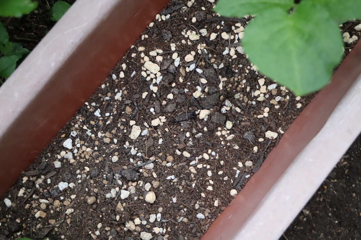 f:id:tomato_1:20210505041911j:plain