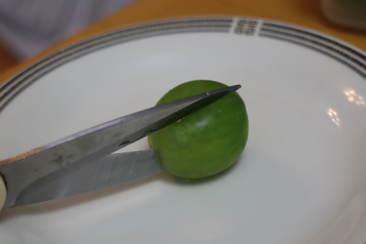 f:id:tomato_1:20210506230334j:plain