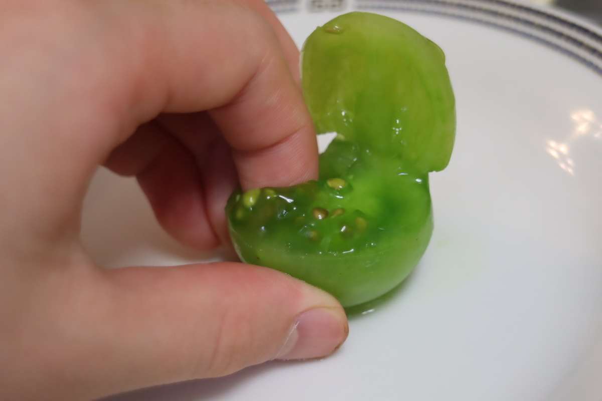 f:id:tomato_1:20210506230411j:plain