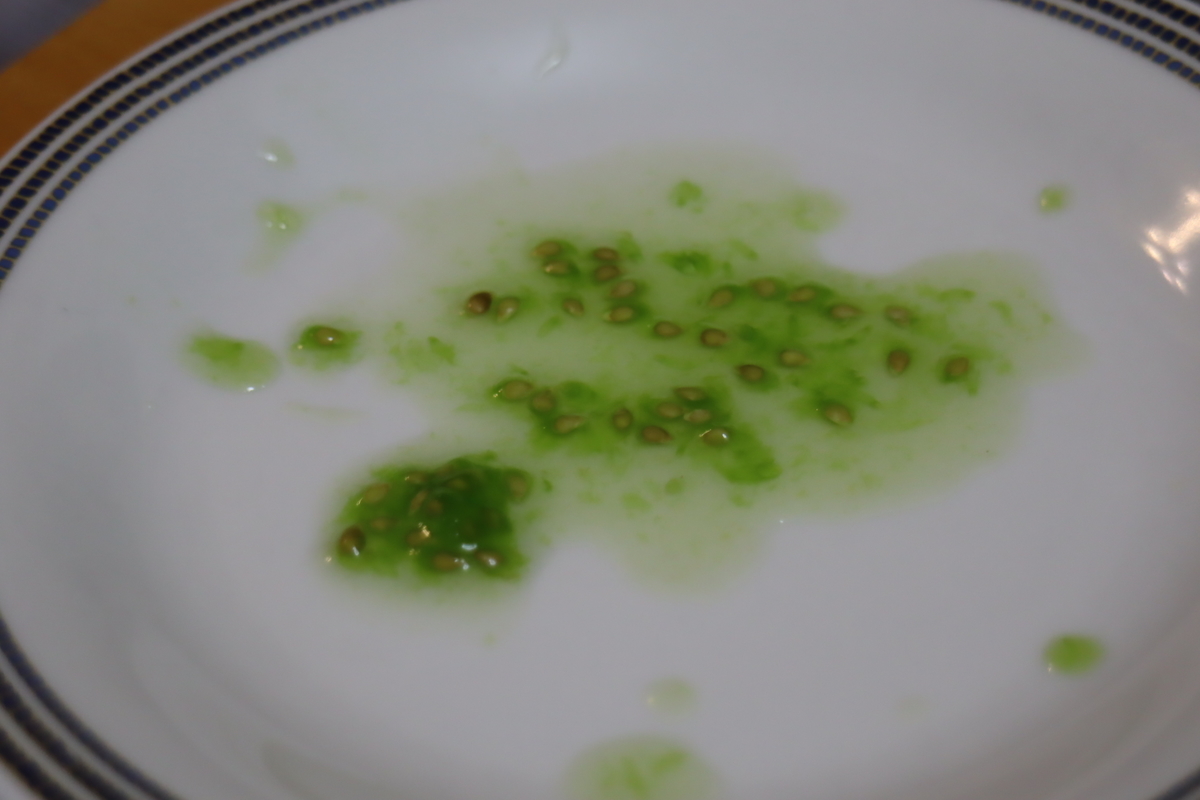 f:id:tomato_1:20210506230539j:plain