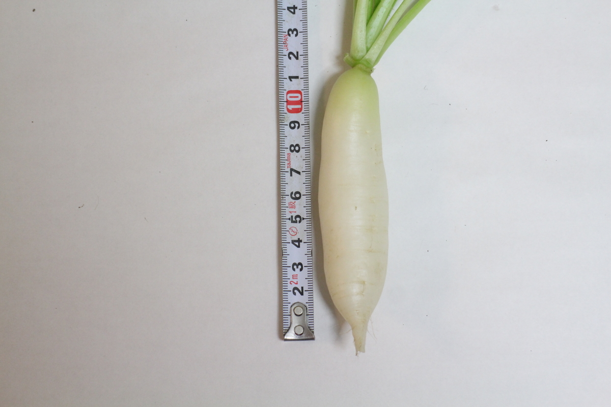 f:id:tomato_1:20210515042929j:plain