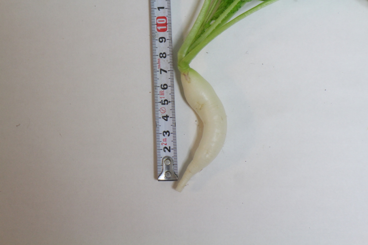 f:id:tomato_1:20210515043011j:plain