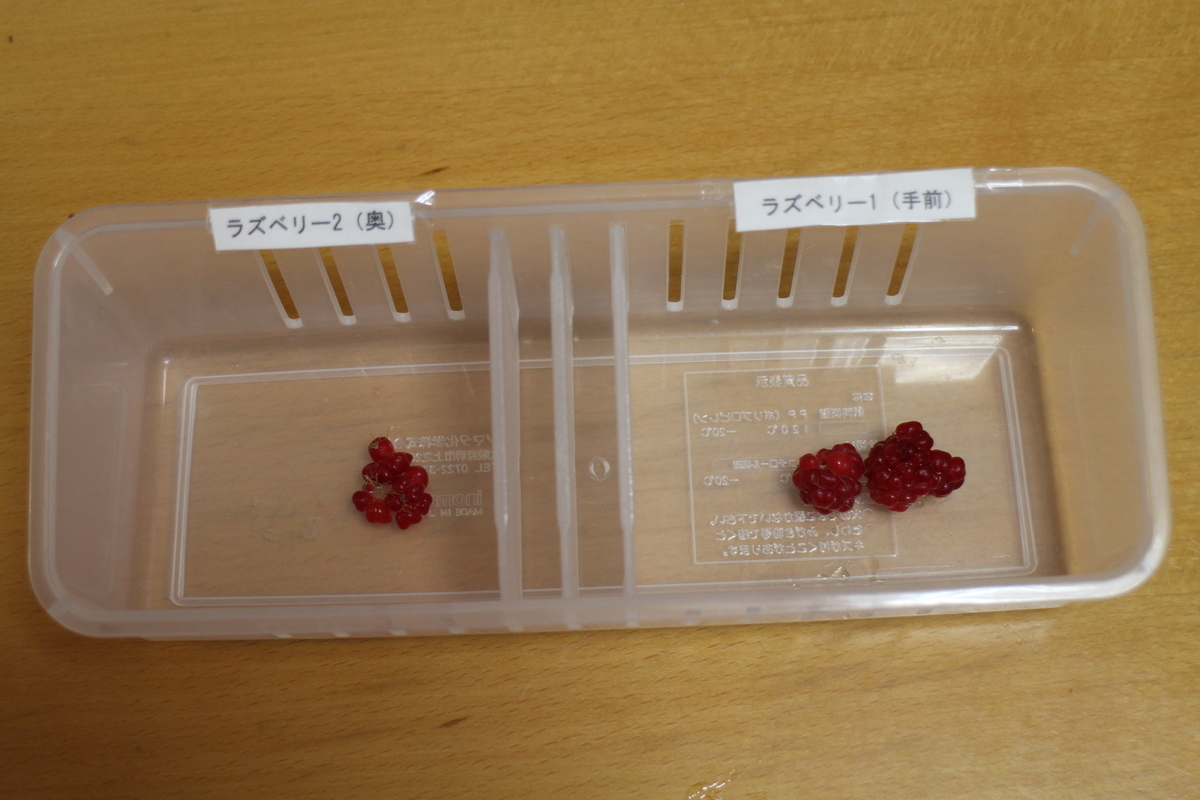 f:id:tomato_1:20210528034946j:plain