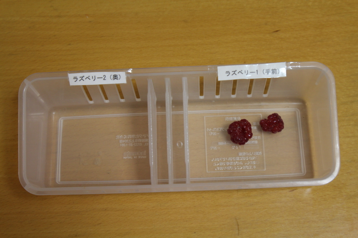 f:id:tomato_1:20210529043324j:plain