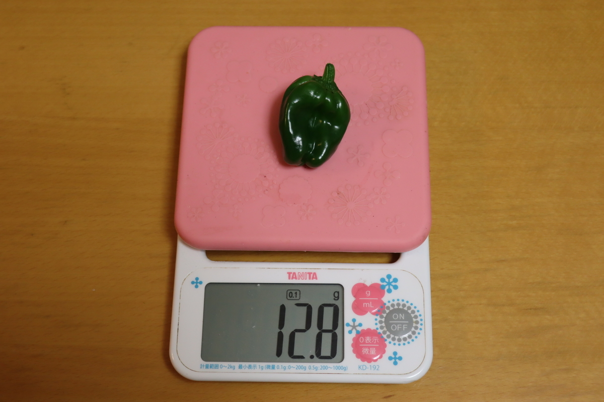 f:id:tomato_1:20210531042322j:plain