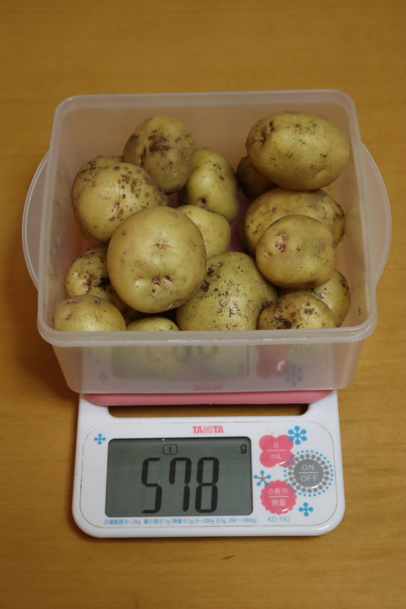 f:id:tomato_1:20210602040304j:plain