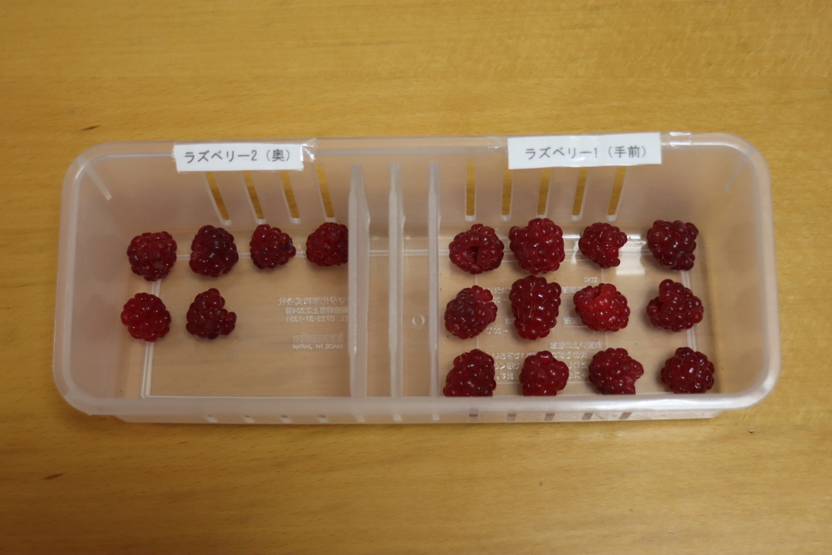 f:id:tomato_1:20210607043811j:plain