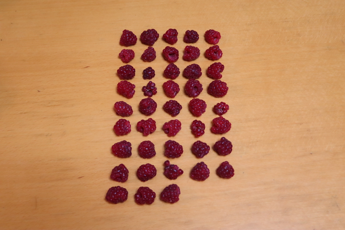 f:id:tomato_1:20210607212215j:plain