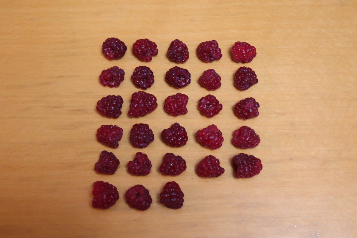 f:id:tomato_1:20210609040735j:plain