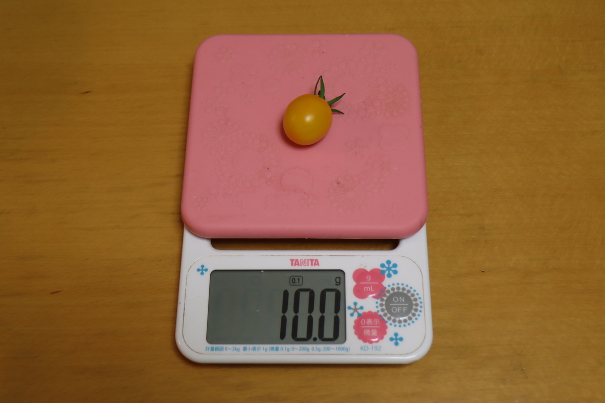 f:id:tomato_1:20210610035540j:plain