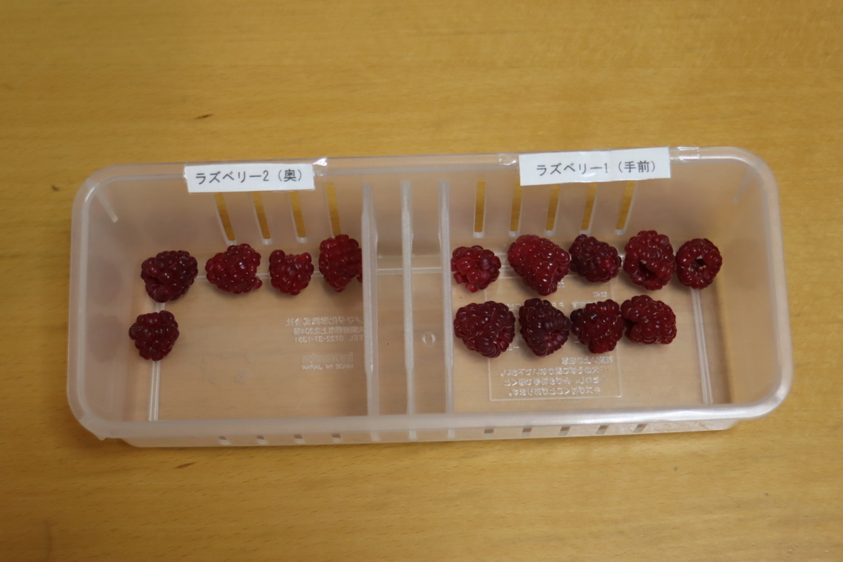 f:id:tomato_1:20210611035621j:plain