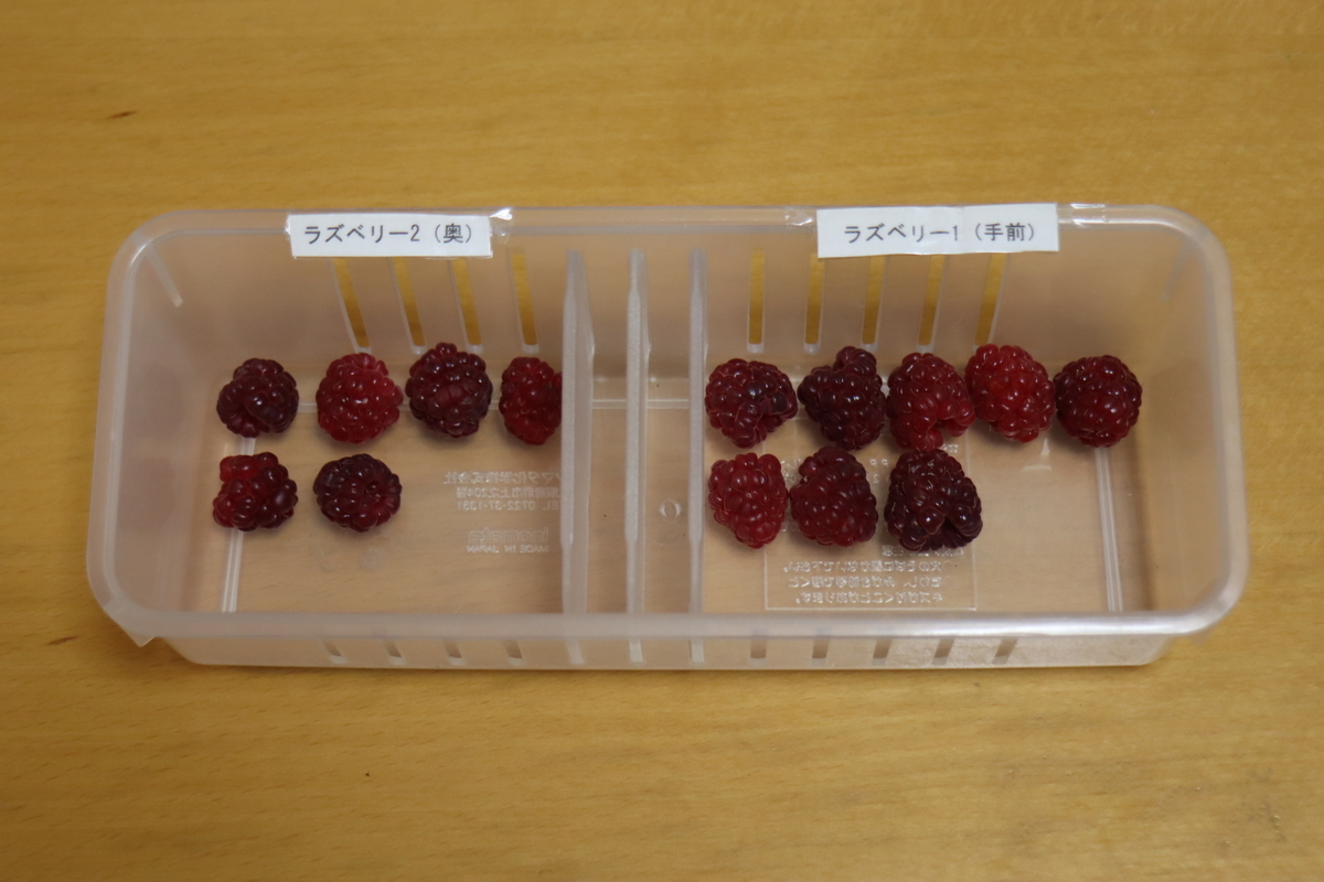 f:id:tomato_1:20210612033129j:plain