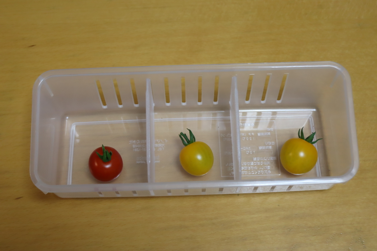 f:id:tomato_1:20210615035127j:plain