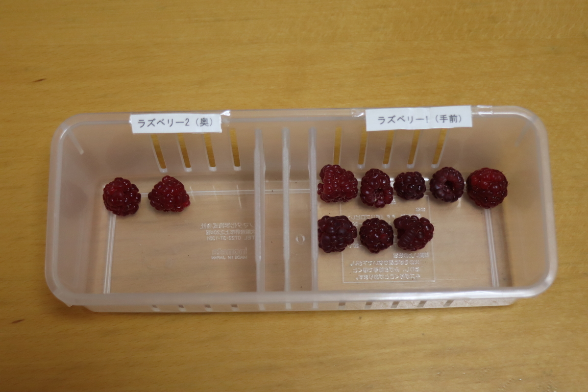 f:id:tomato_1:20210615035320j:plain